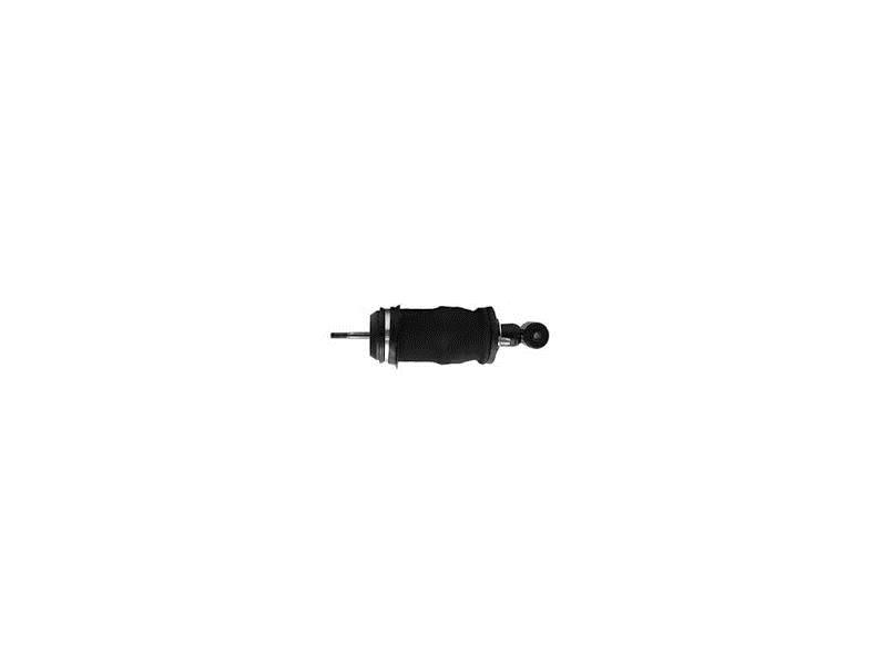 Shock Absorbers Rear Complete Dpr - 1873668 - D70.7083