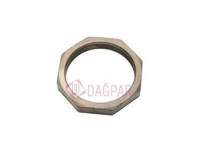 Lock Nut Behind Dpr - 273024 - D60.6231